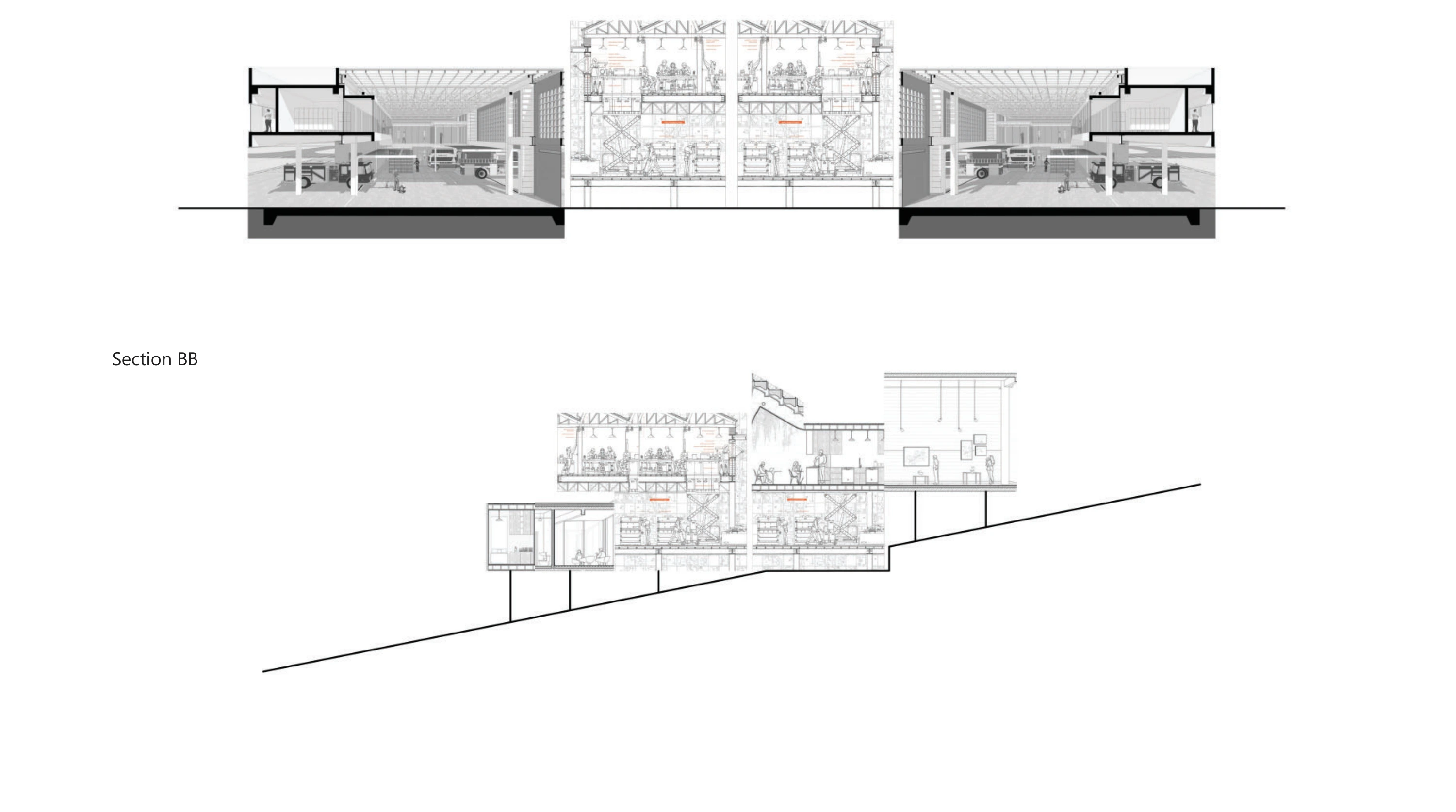 Collage sections: The relationship between interior space, planting and changes in level.