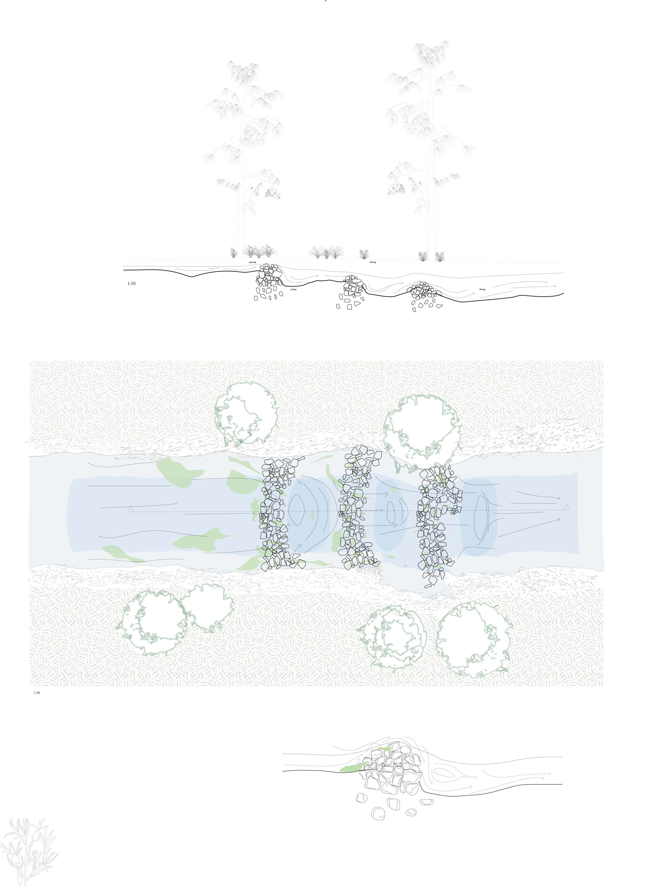 Step pools: Plan and section studies of a planted intervention within the river system.